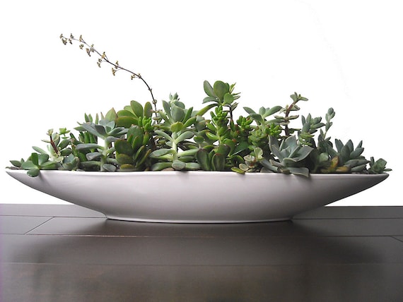 Multi-tone Succulent Mix 21" Boat-Shaped White Ceramic Modern ...