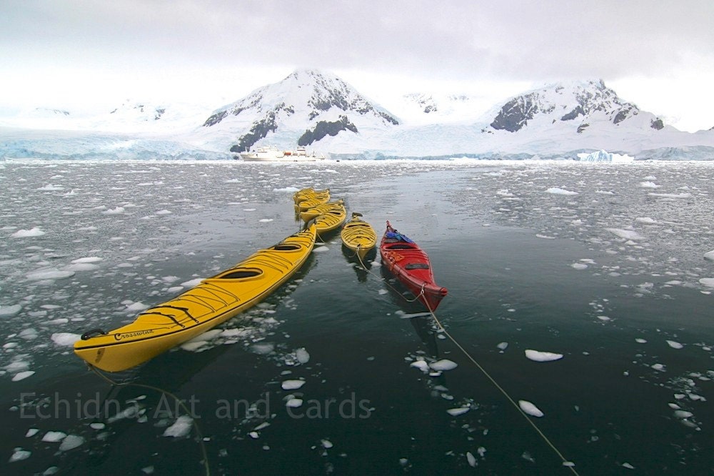 Antarctic Kayaks Photograph, Nautical Fine Art Wall Print, 4x6 or 5x7 - EchidnaArtandCards