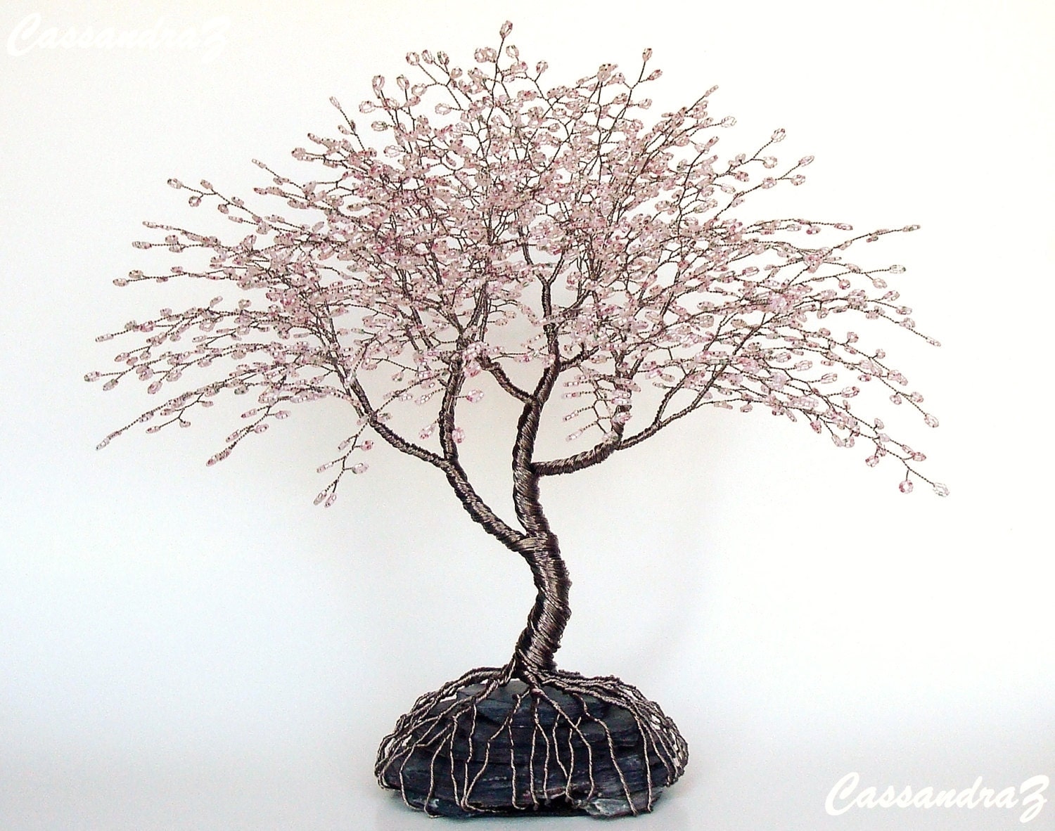 Cherry Blossom Bonsai Tree Cherry Blossom Bonsai Tree