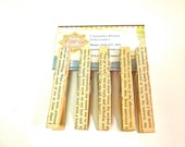 Jane Eyre Vintage Book Page Decorative Clothespins Set of Five Bag Clips - CasstheCrafter