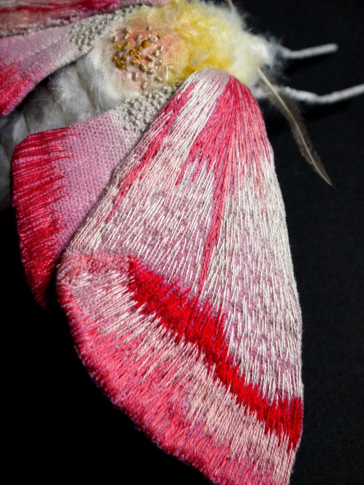 http://img1.etsystatic.com/034/0/5566875/il_570xN.538255627_tnal.jpg