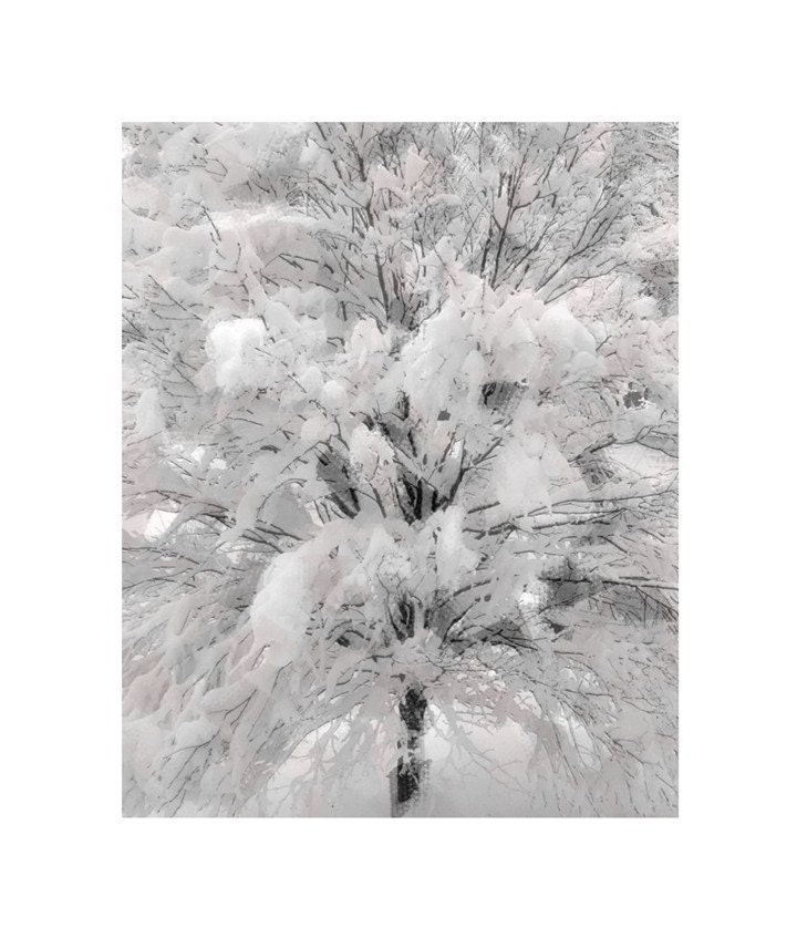 Snowy Tree Photo, Korean Mountain Ash, mpressionist Fine Art Photo, Maine Snowstorm,  Snow White Fantasy Photograph