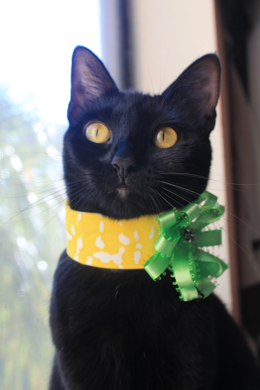 Unique Cat Collar with Neon Fabric Flower - gatinela