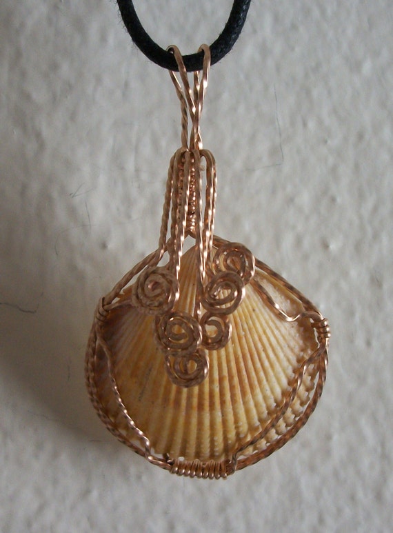 Natural Sea Shell Pendant Wire Wrapped In Bronze Wire