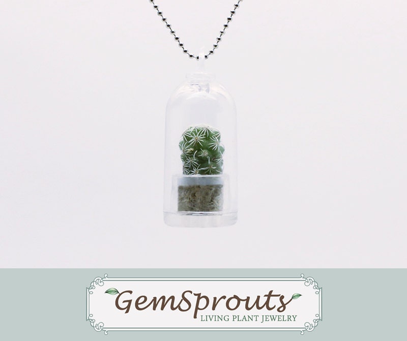 Real Living Tiny Green Cactus Plant Necklace with Ballchain