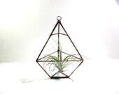 Terrarium - Air Plant -  Geometric Pyramid Terrarium - DIY Pyramid Kit - lonesomehobo