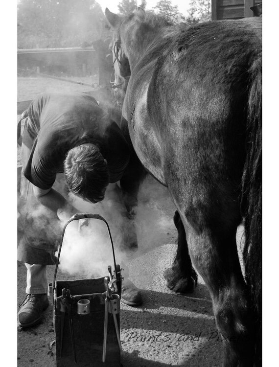 Items similar to Horse and Farrier Photograph Art Print Black and White