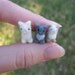 Tiny Needle Felted Miniature Kittens Set in Gray White and Siamese