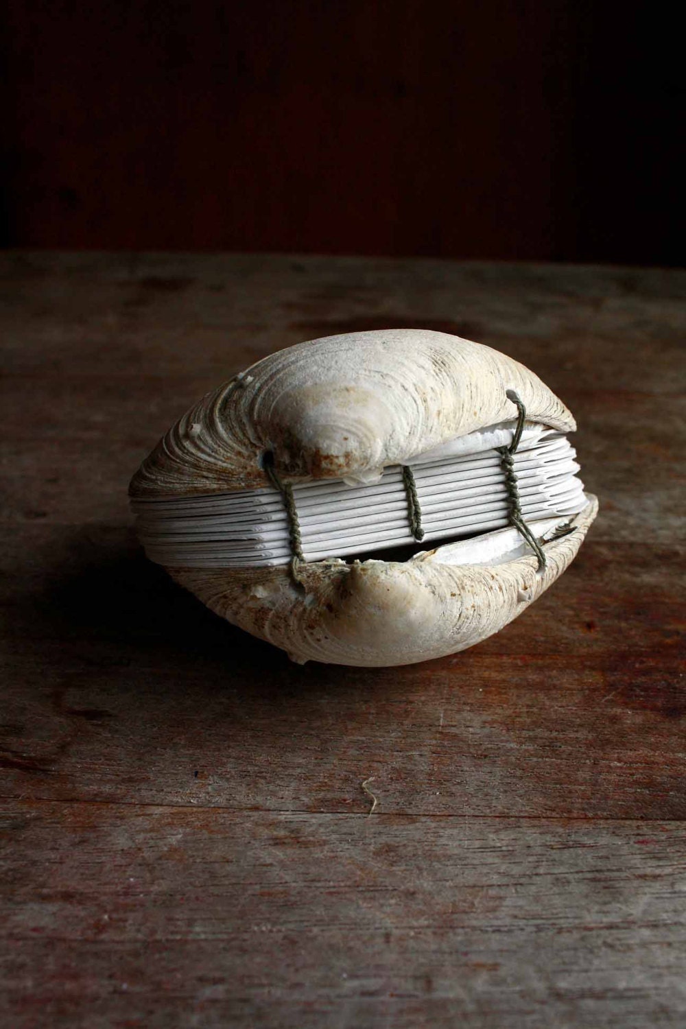 Book of the Sea - Hand stitched Clamshell Book Sculpture - Blank Journal - odelae