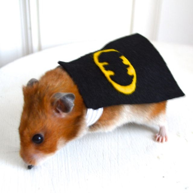 Batman costume hamster / guinea pig / chinchilla by laMarmotaCafe