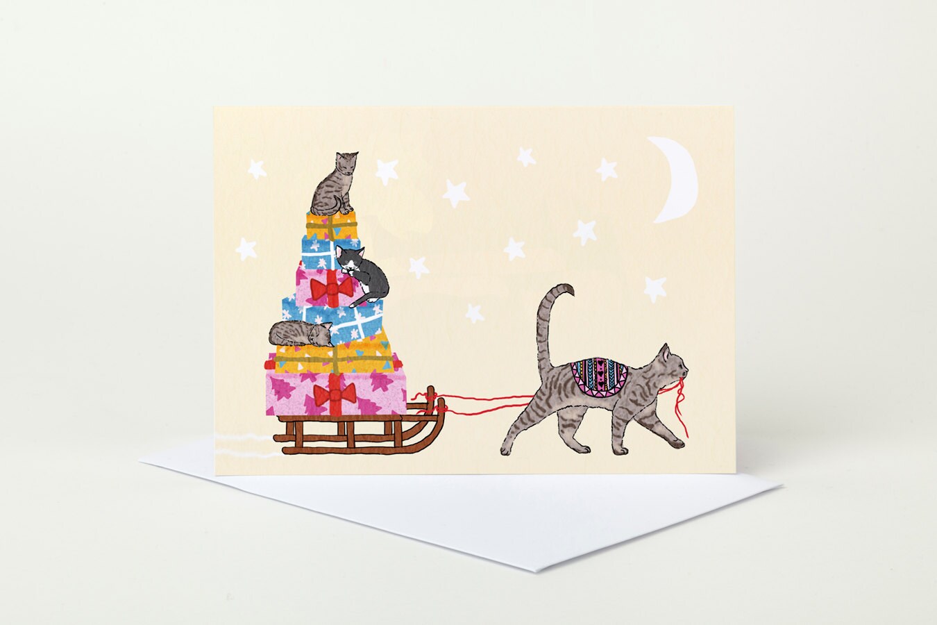 Cat Delivery Christmas Card