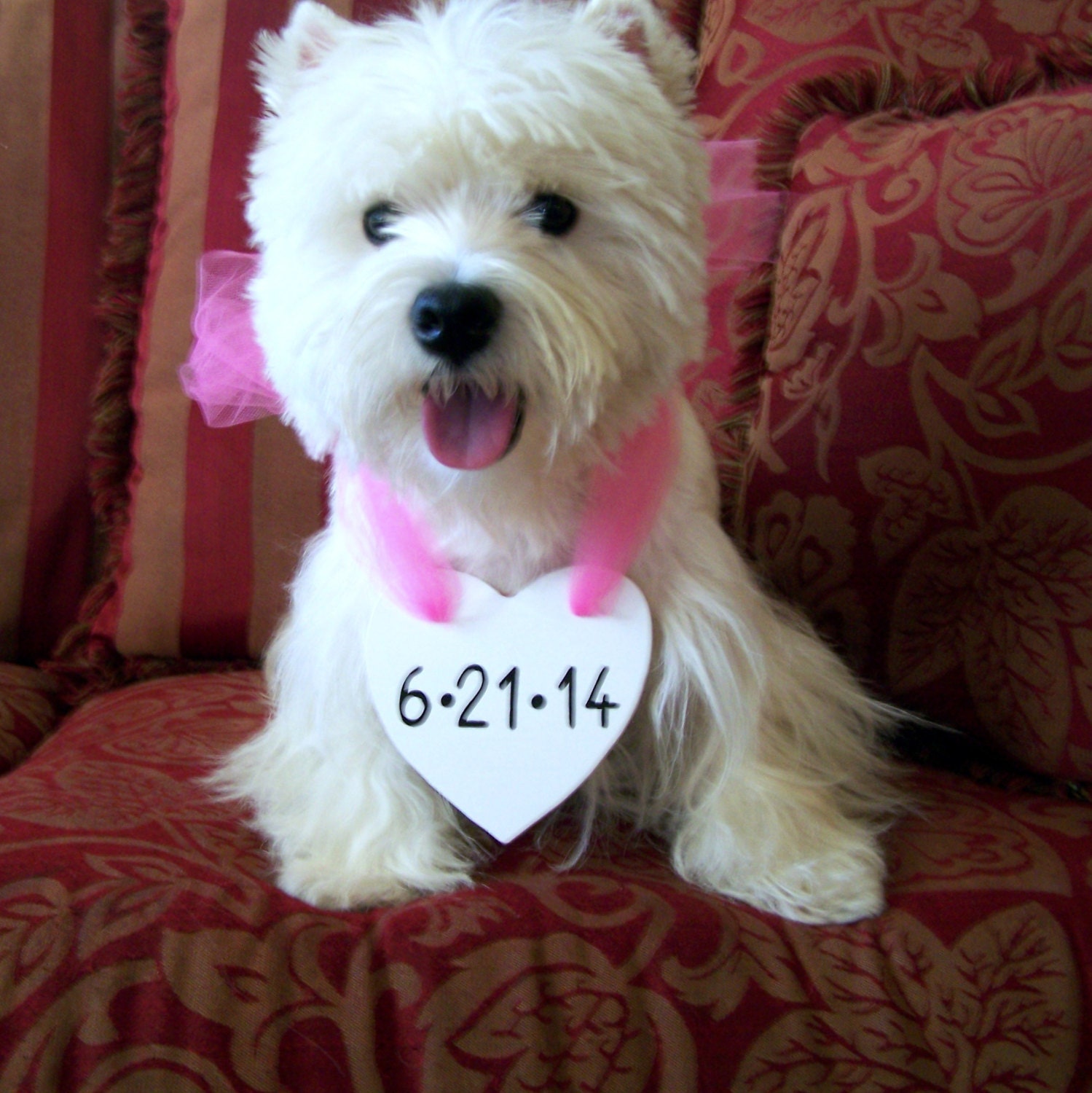 Wooden Heart Dog Engagement Wedding Sign - Photo Prop - Small - SassyFrassStudio