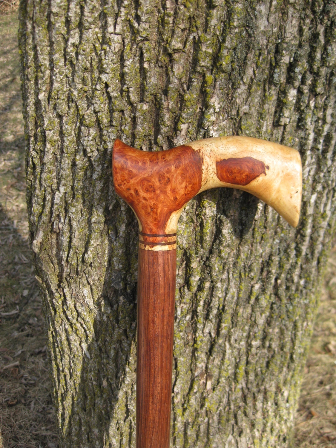 walking exotic cane wood burl wooden amboyna collector stick walkin