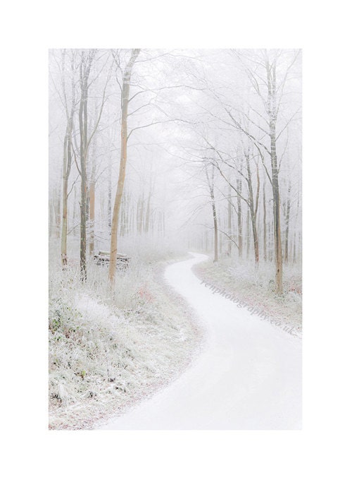 Minimalistic White Winter Woods Winter Wonderland, Wiltshire UK, Large Wall Art Decor Fine Art Photo Print Marlborough - renphotographycouk