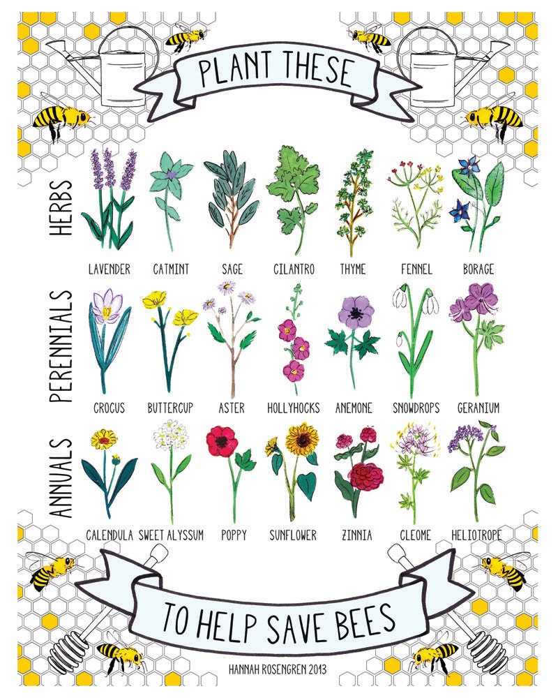 8x10" Plant These to Help Save Bees Print