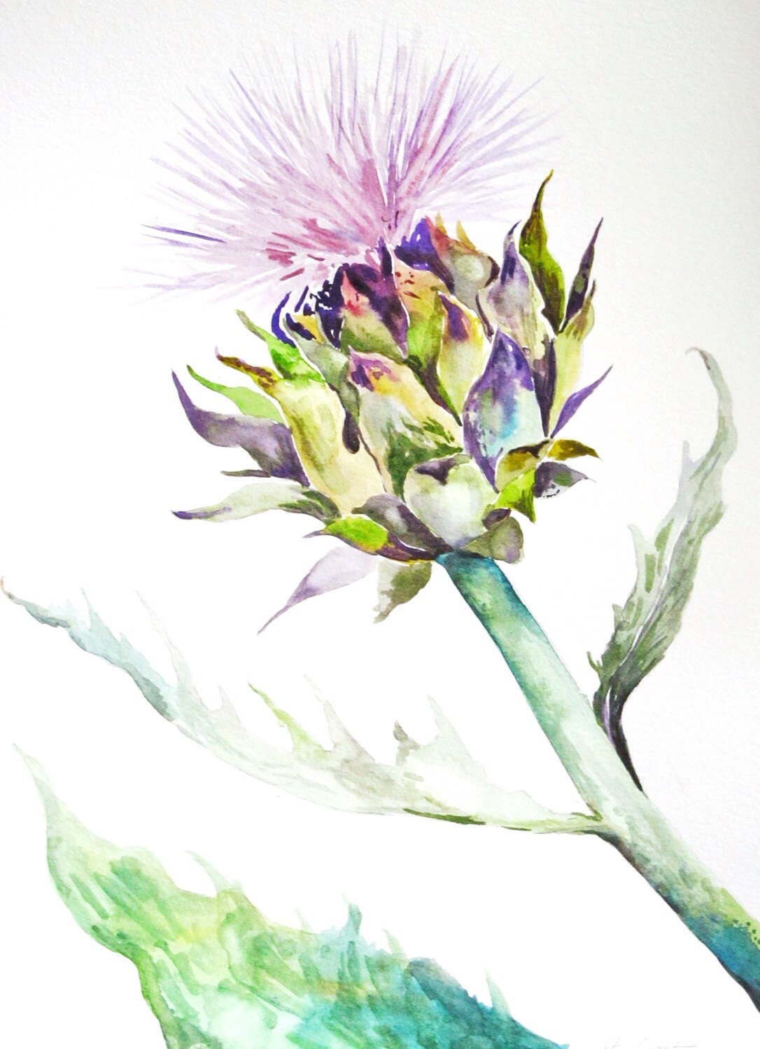 Watercolor Painting Original Botanical Art Artichoke Bloom