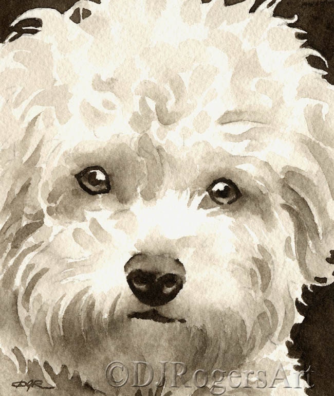 Bichon Frise Sepia Art Print Signed By Watercolor By K9artgallery