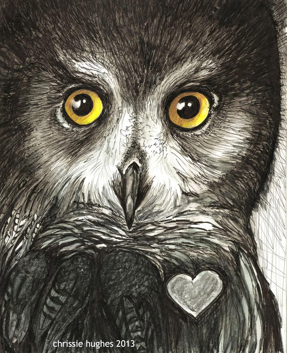 Owl Art / Original Framed Illustration/ Created by hand One of a kind / Ink 8x 10 Signed Maine Artist Chrissie Hues Hughes  free shipping - OldSewlVintage