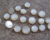 19 Assorted Vintage Diminutive Mother of Pearl Self Shank Buttons Doll Buttons Baby Buttons - ingrandmasattic