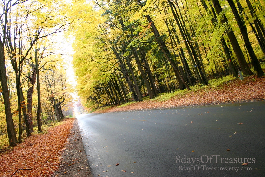 Autumn Photography, Fall,  Woodland, Leaves, Orange, Yellow, Green, Trail, Path, Road, Gold, Black,  8x10 Print - 8daysOfTreasures
