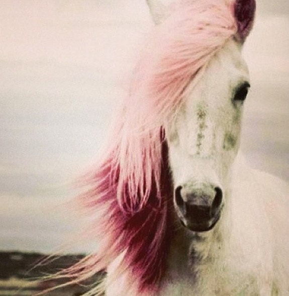 Horse Non-Toxic Hair Chalk - You Choose 1 Color - Large Stick - LiveLoveAlohaHair