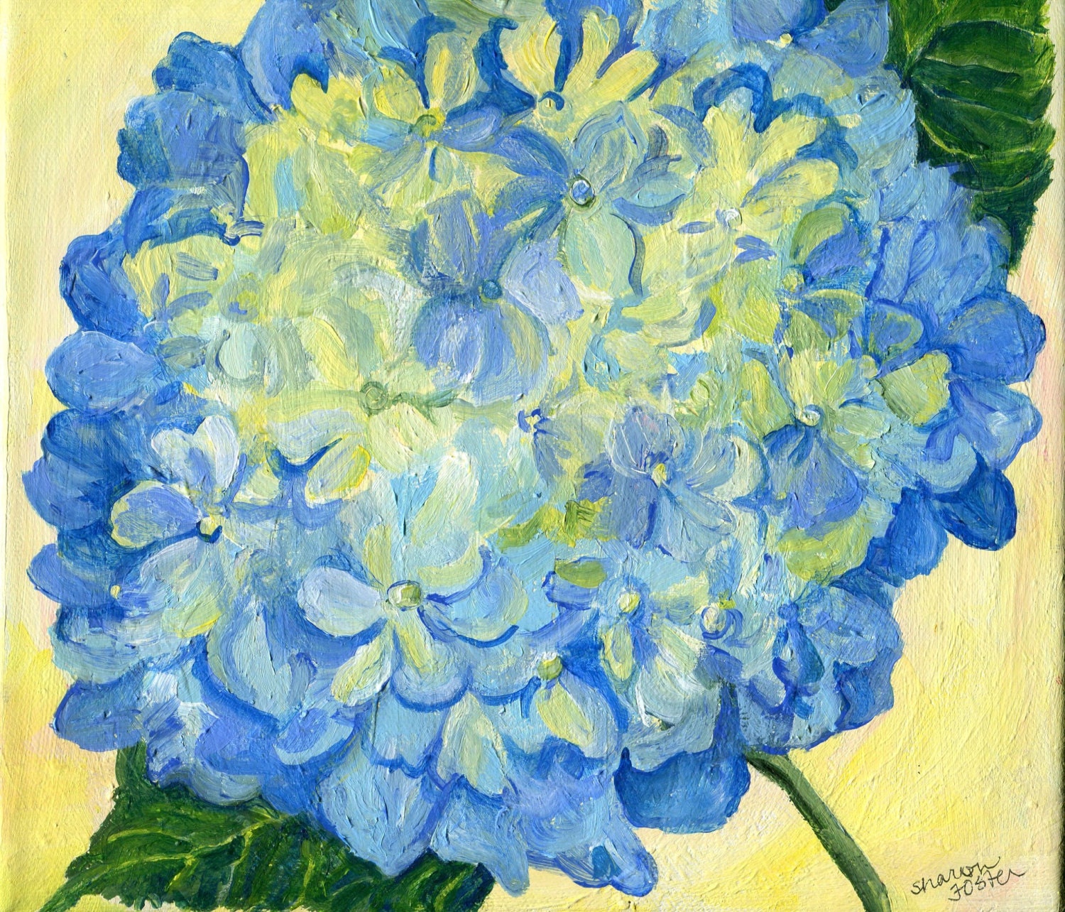 Hydrangea Painting On Canvas Original Square Blue Flower