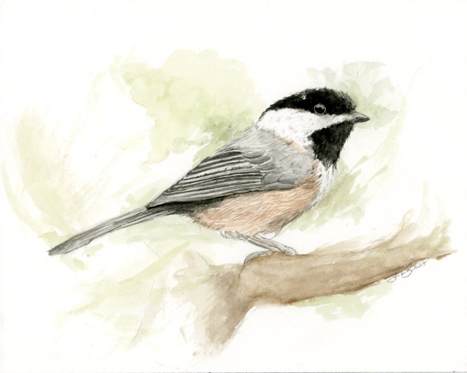 Chickadee Bird Original Watercolor Painting X Nature Forest