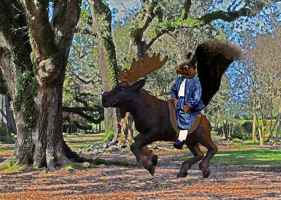 Moose and Squirrel