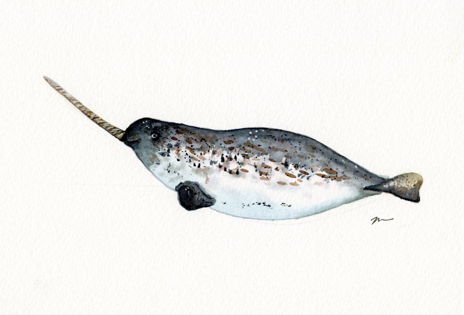 Watercolor Narwhal