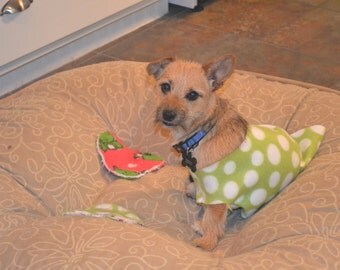 dog toy no squeaker no stuffing