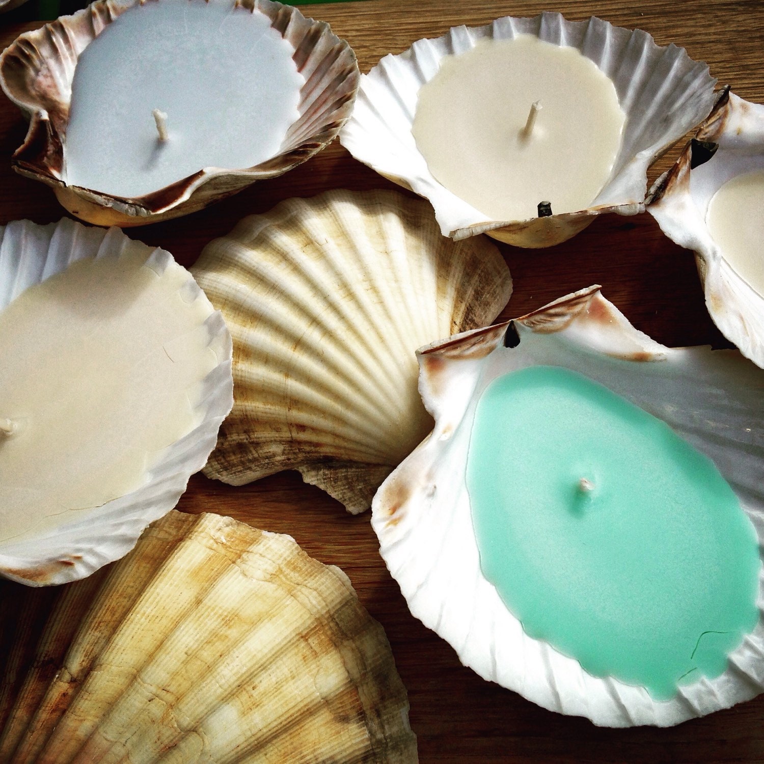 Trio Of Cornish Scallop Shell Candles By WoodpeckerandWeasel