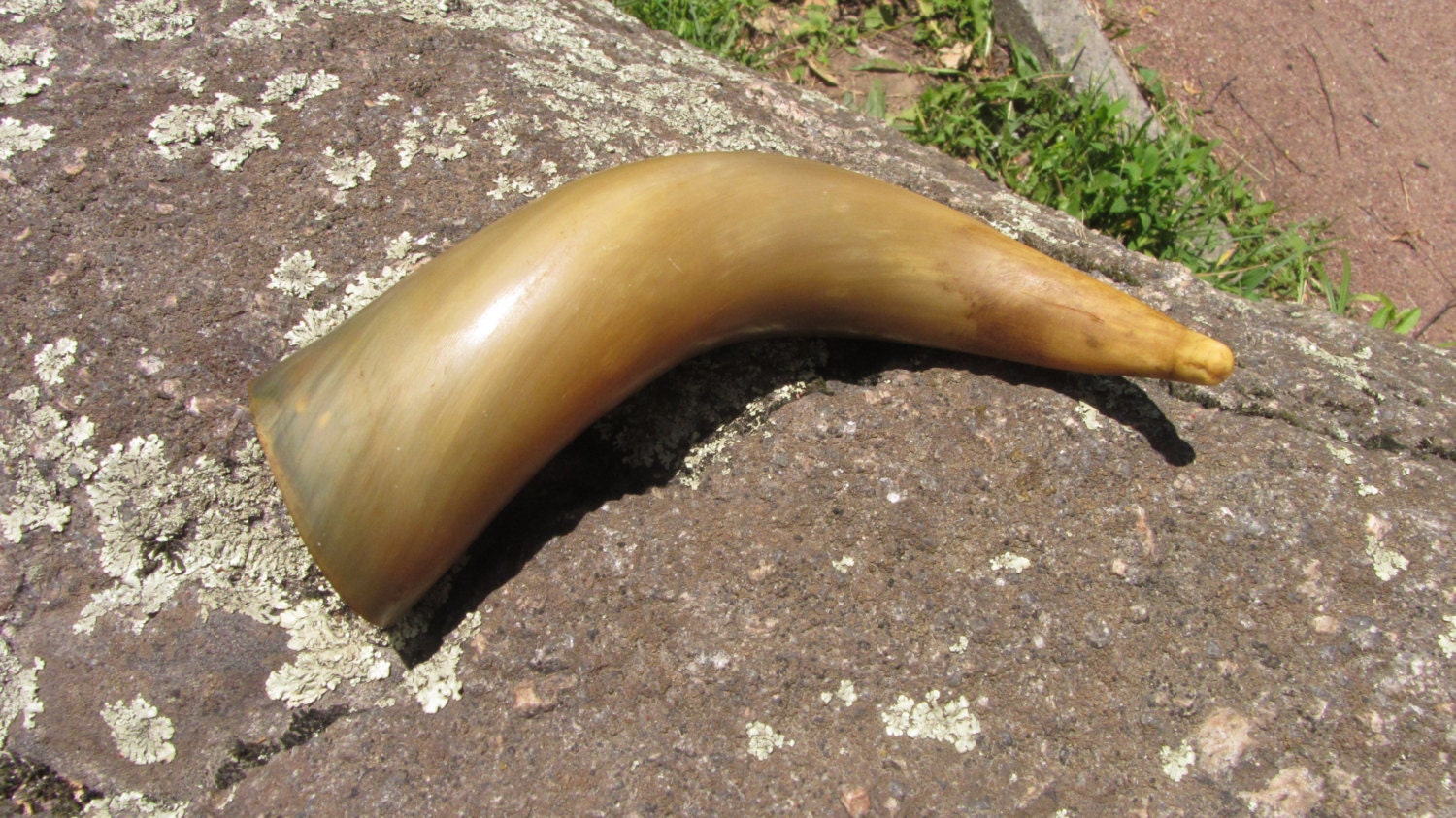 Curved Vintage drinking horn, Game of Thrones gift, Georgian traditional wine dr