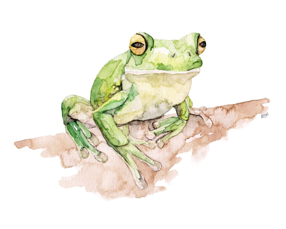 Tree Frog Painting Print From Original Watercolor Painting