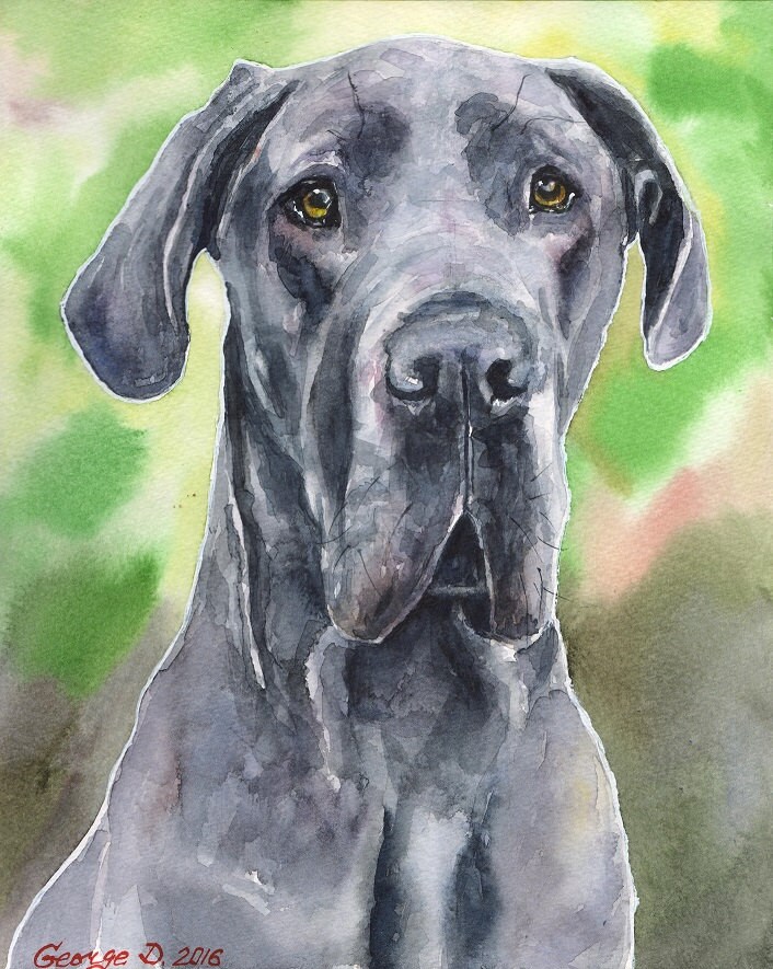 Great Dane Print Of The Original Watercolor Painting Art Cute