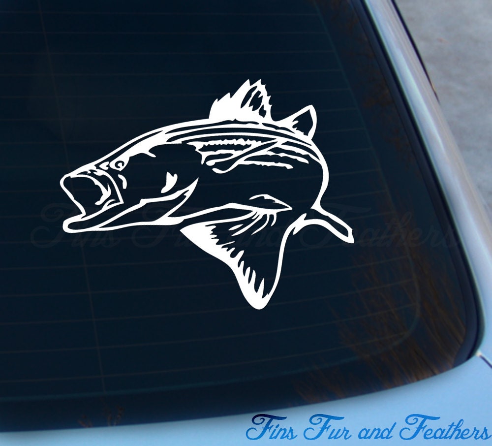 Striped Bass Decal Striper Sticker Saltwater Rockfish