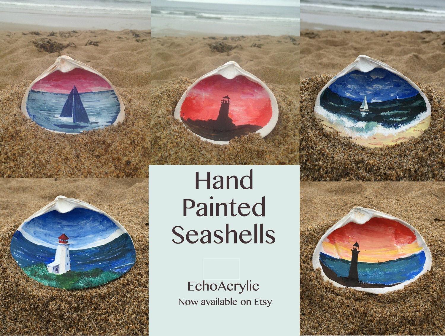 Hand Painted Seashells