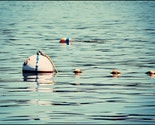 Nautical Photograph Boating Buoys Floating in Blue Atlantic Ocean Acadia Maine Fine Art Photograph
