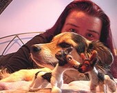 Your dog in your dollshouse for Artists Exposed for Vicki Diane