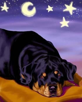 Rottweiler sleepy dog art  print