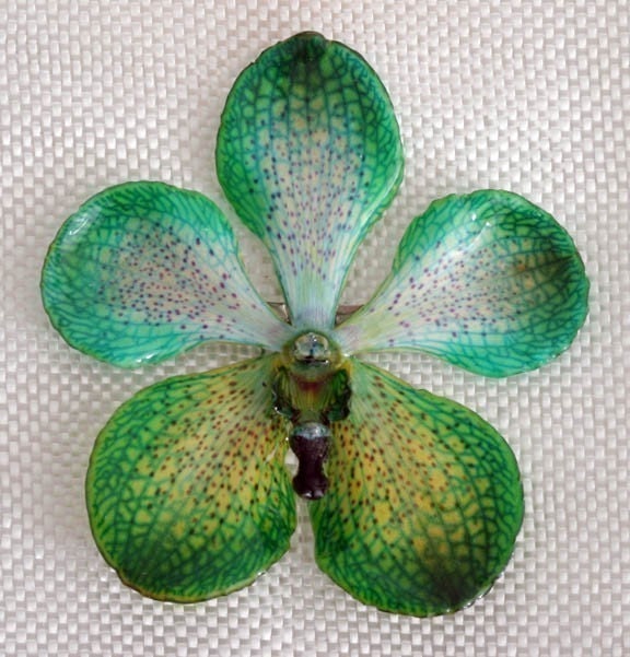 ORCHID PIN