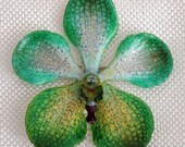 ORCHID PIN