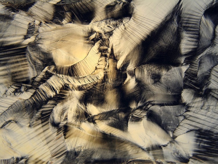 enfolded