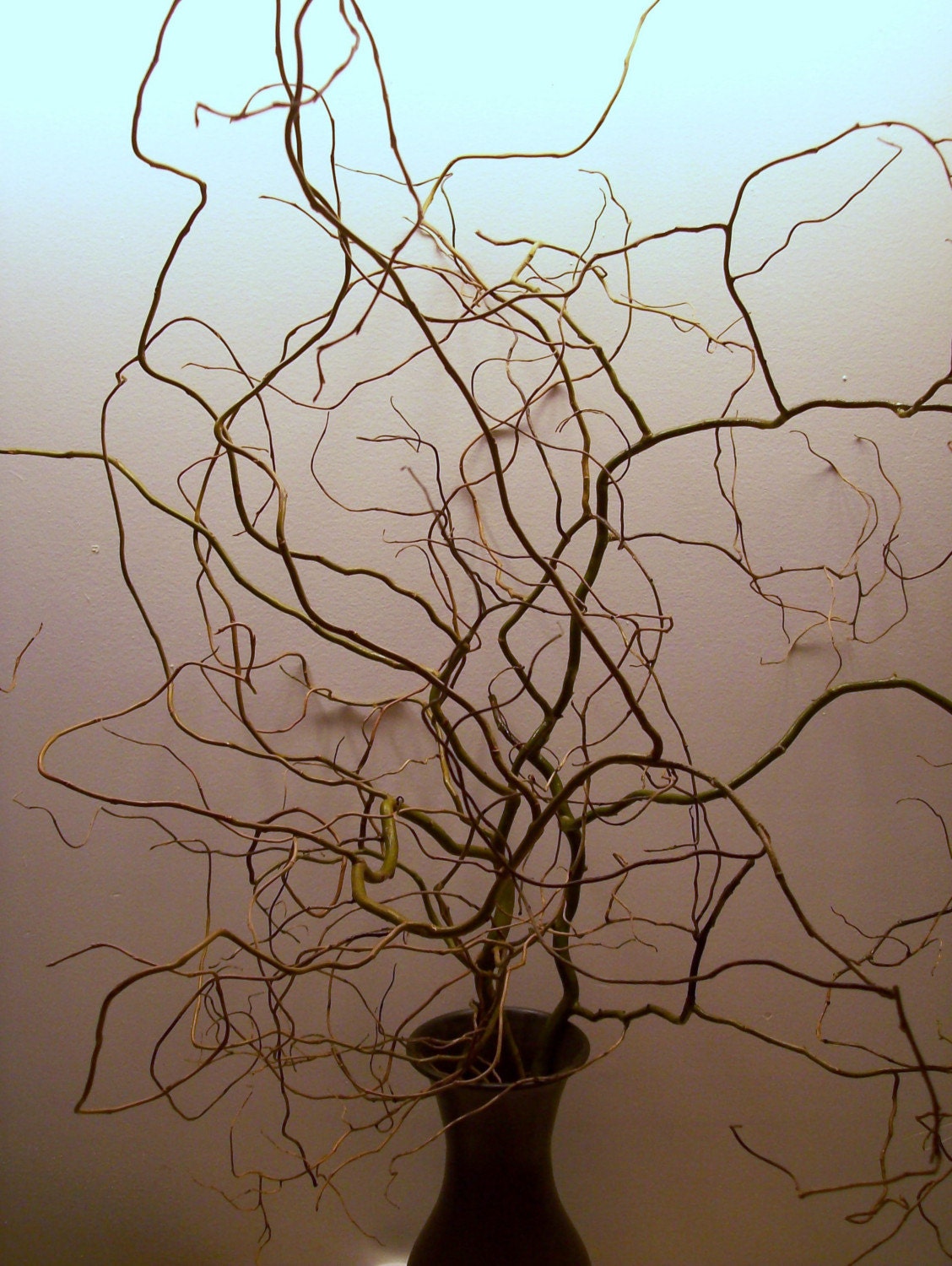 10 Willow Branches - Wishing Trees, Wedding Decorations, Money Trees and More