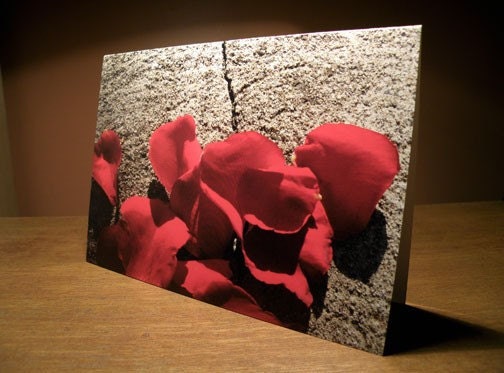 Rose Petals Greeting Card, Blank (GC02)