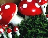 Mushrooms and Moss-Red Variety Pack (218-0122)