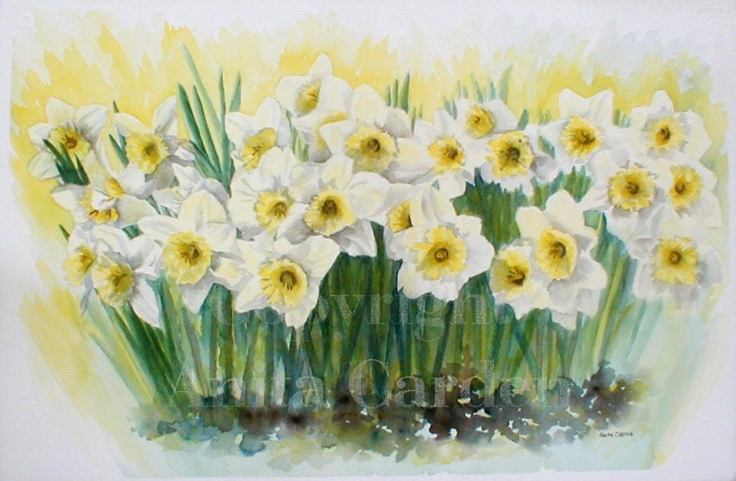 Daffodils Print of Original Painting, Floral 8x10 Watercolor