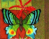 Butterfly Orchid - Hand Signed Glicee Print