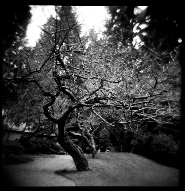tree