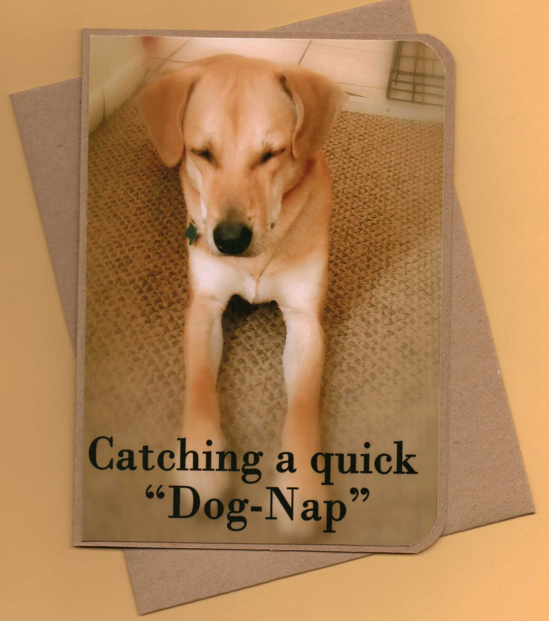 Husky Lab Mix Puppy Dog Nap Handmade Greeting Card