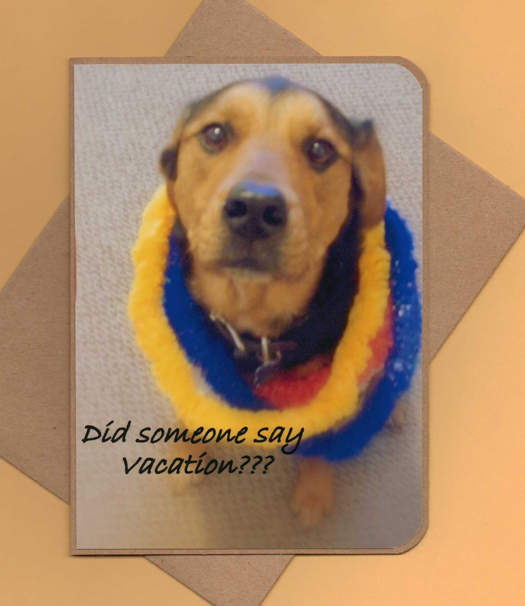 Spring Fever-Shepherd Mix Dog Handmade Greeting Card-Luau Spring/Summer Vacation